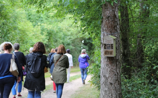 Visite Guidée Odyssée Nature