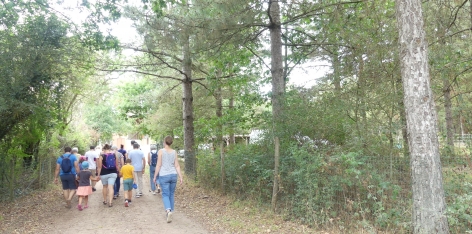 Retour sur la saison 2020