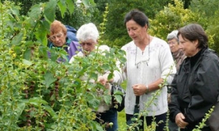 Arboretum de la Croix Verte